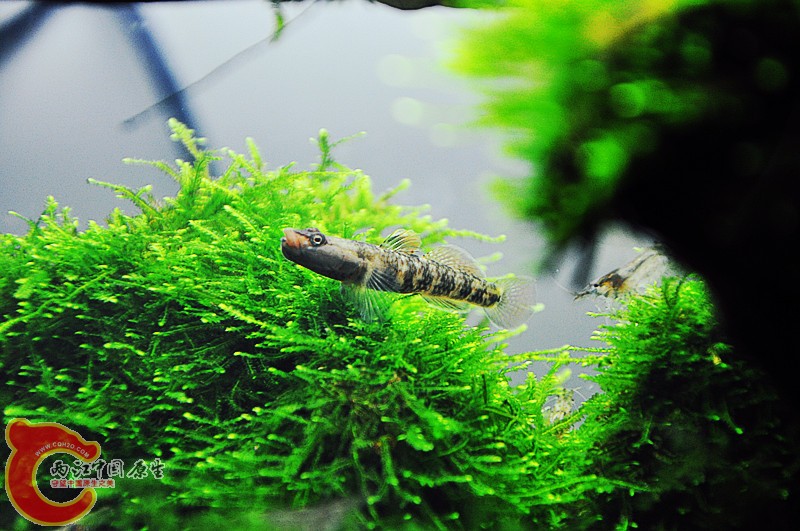 DSC_0793_副本.jpg