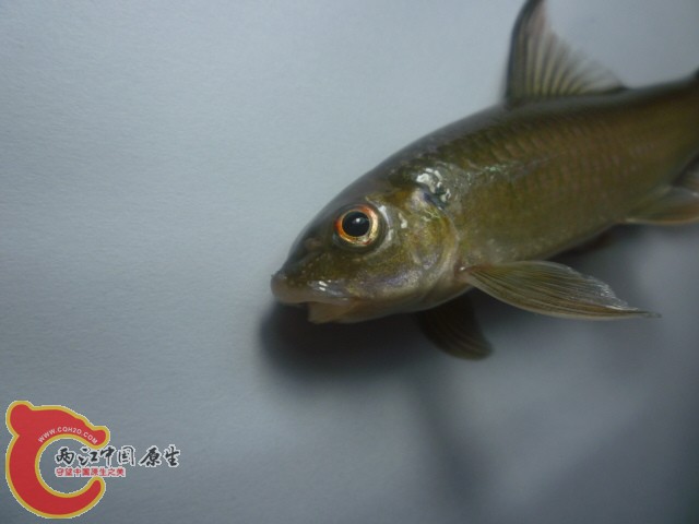 P1090220_旋转.JPG