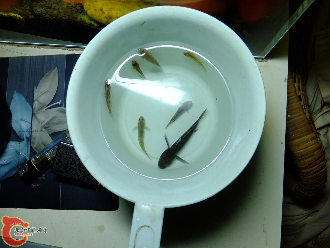 DSCF4030.jpg