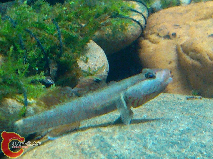 IMG_20121002_212059.jpg
