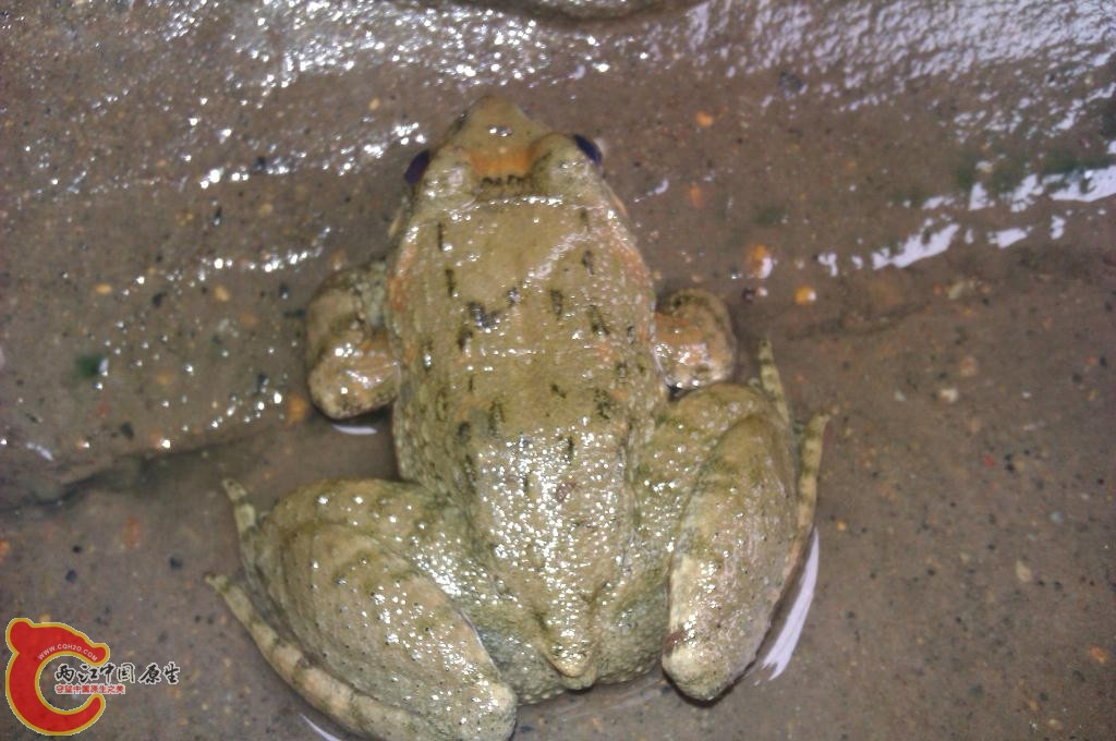 IMGSRC_20121010230720_47.jpg