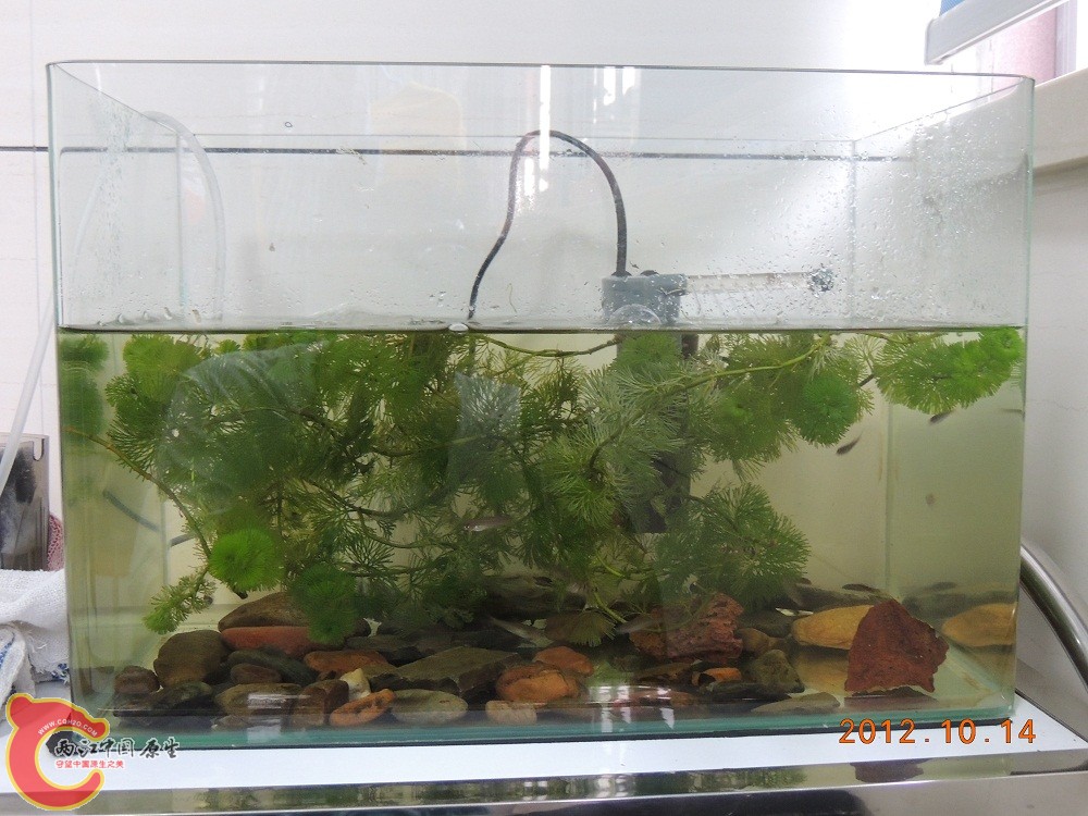 DSCN1054.jpg