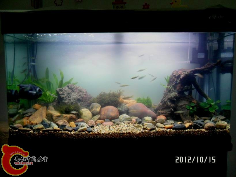 重新摆好后来一张