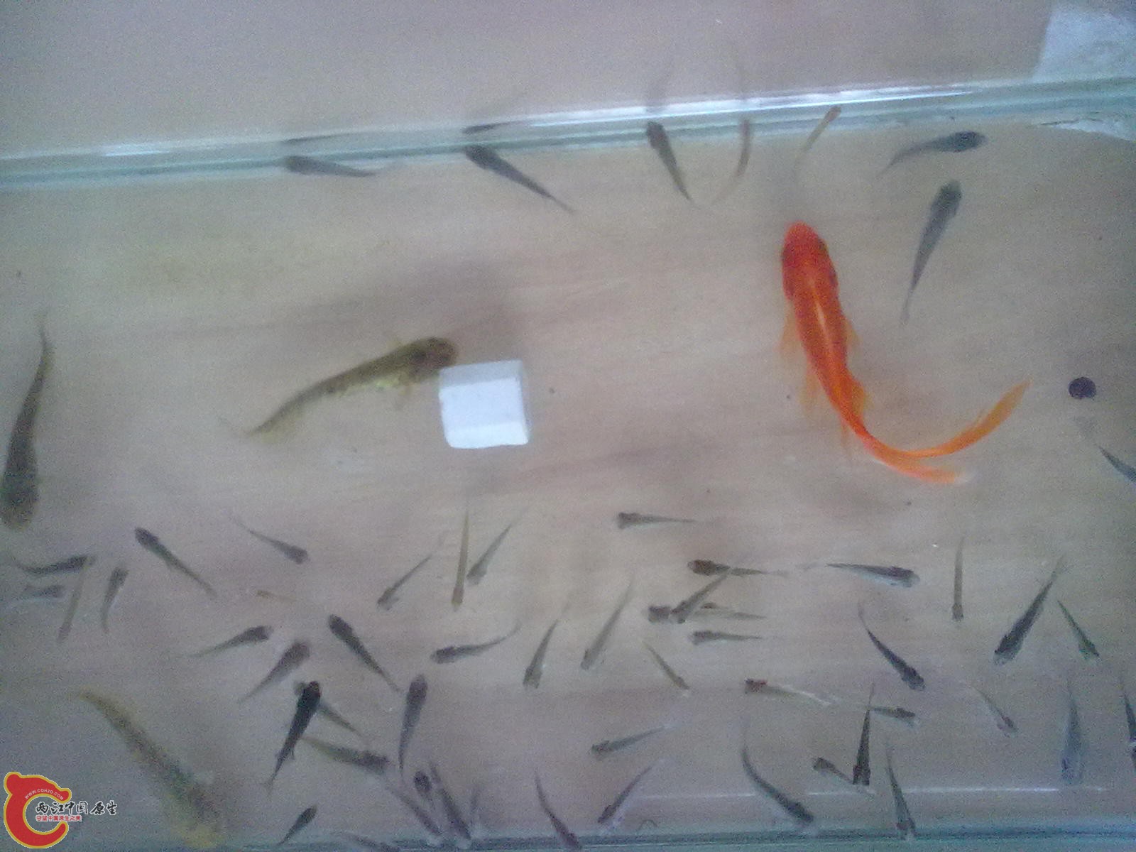 20121016687.jpg