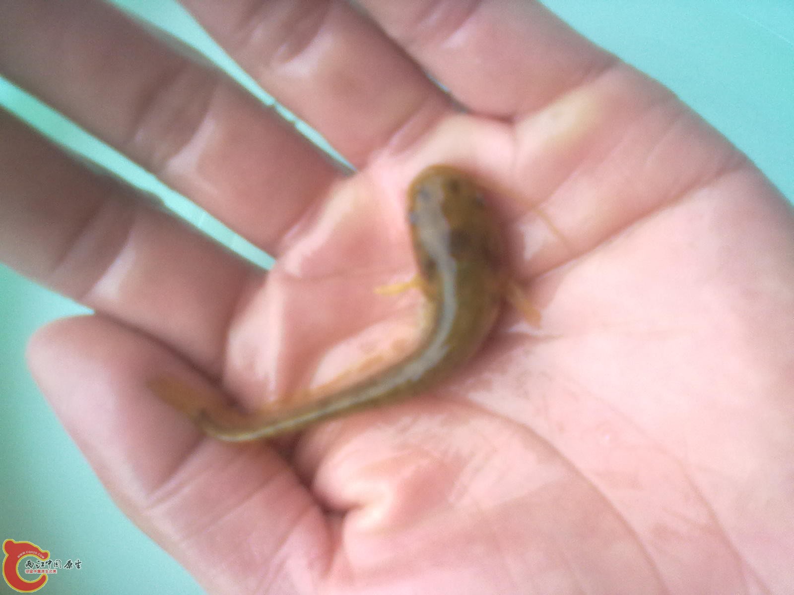 20121016681.jpg