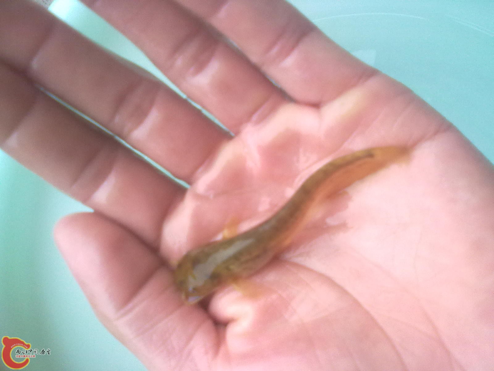 20121016680.jpg
