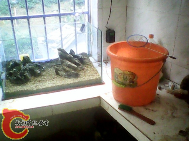 img1019_144029339.jpg