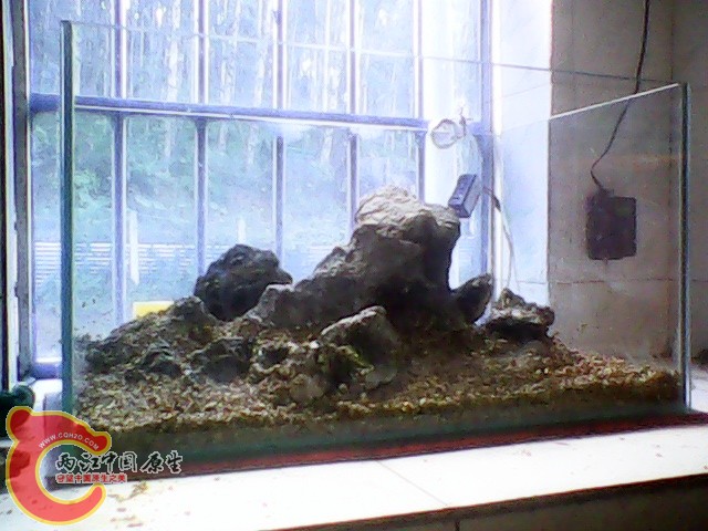 img1019_153047048.jpg