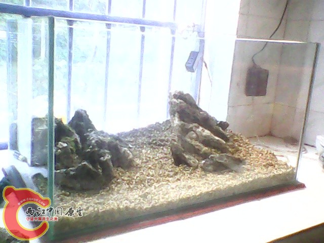 img1019_143949959.jpg
