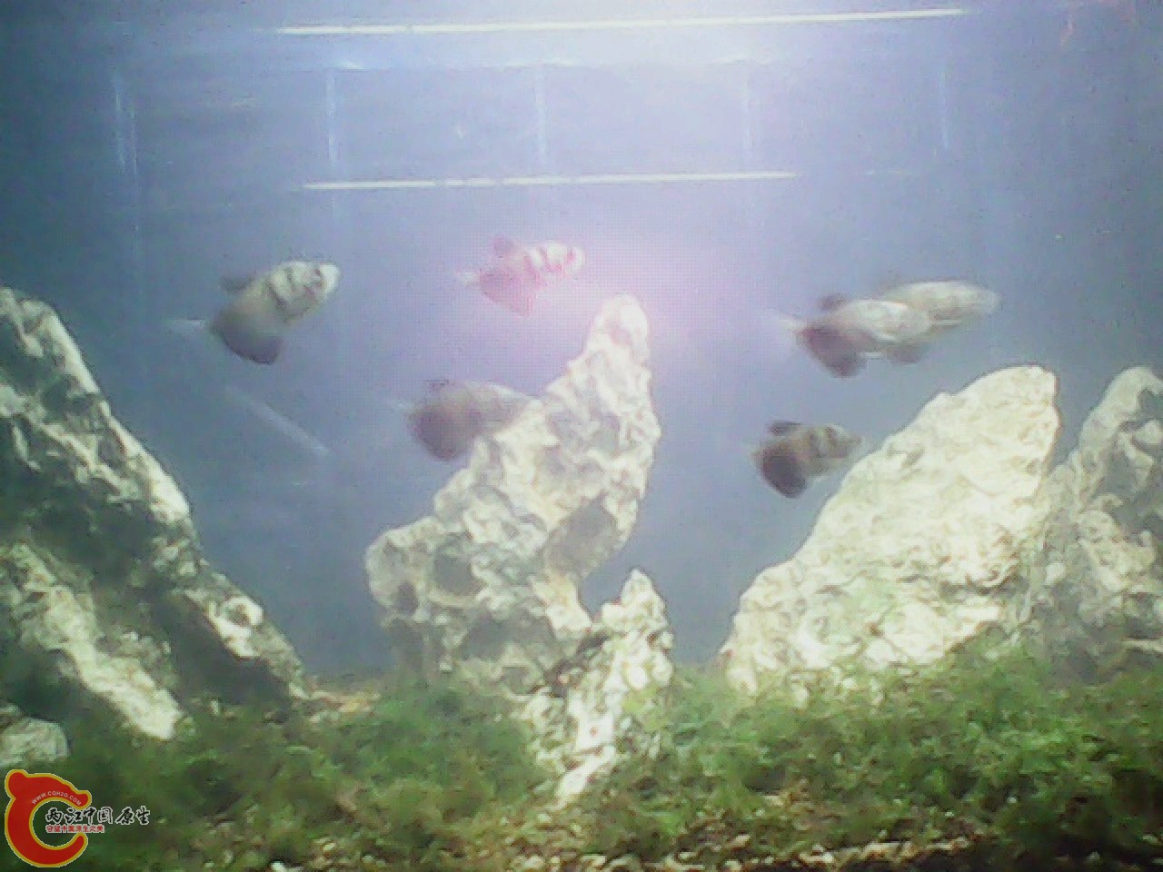 img0921_184606203.jpg