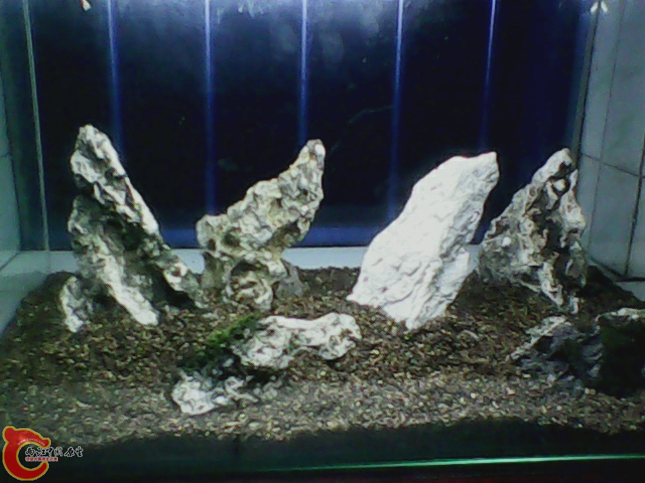 img0921_003911662.jpg
