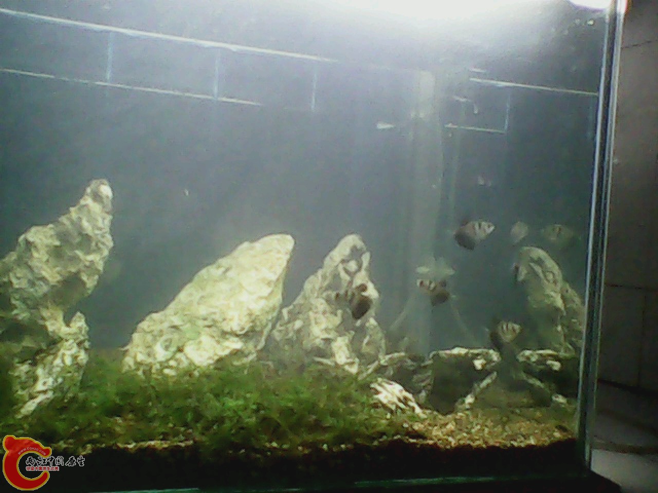 img0921_184528854.jpg