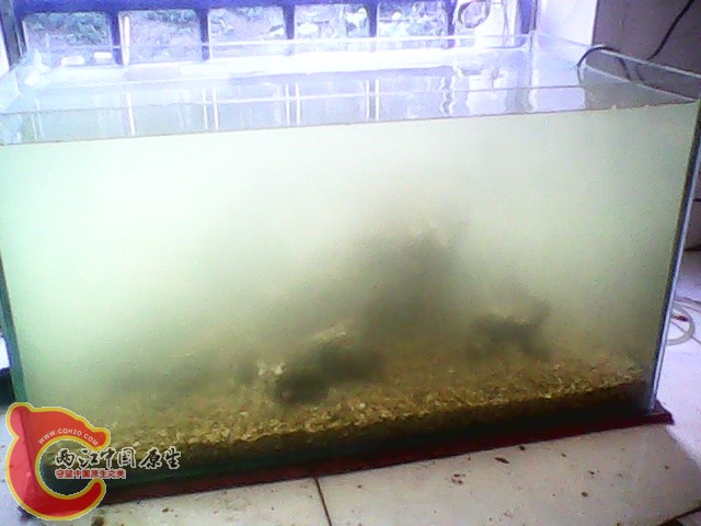 img1019_162901130.jpg