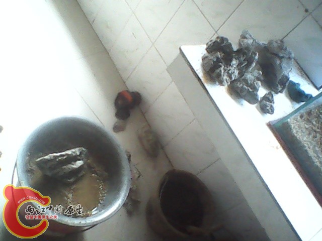 img1019_153203626.jpg