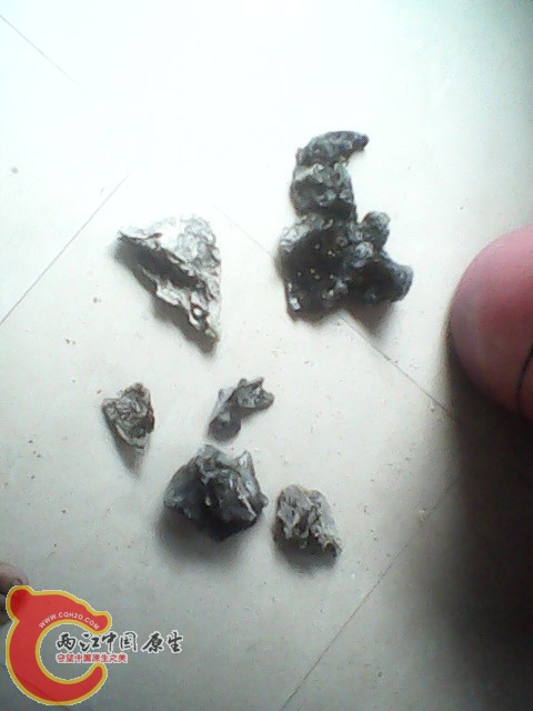 img1019_153213495.jpg