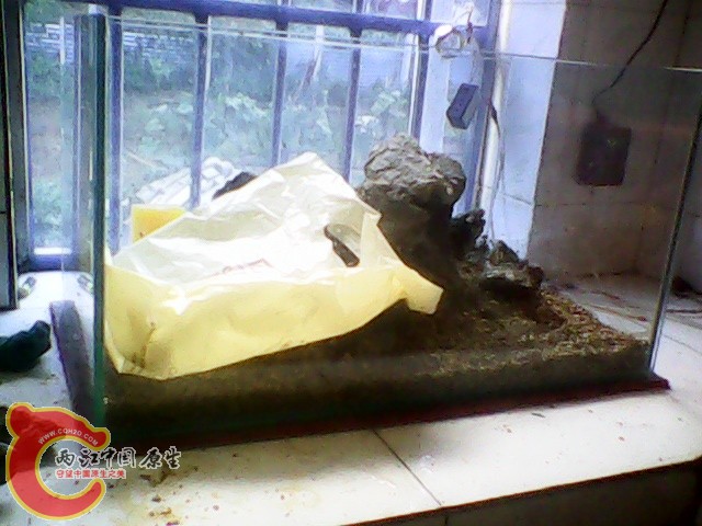 img1019_154426389.jpg