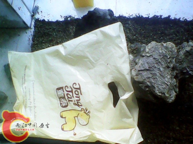 img1019_154433275.jpg