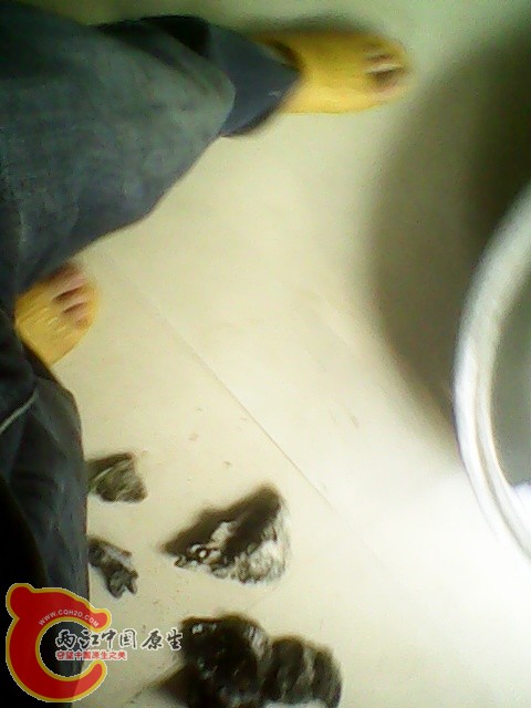 img1019_154436436.jpg