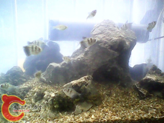 img1020_163156957.jpg