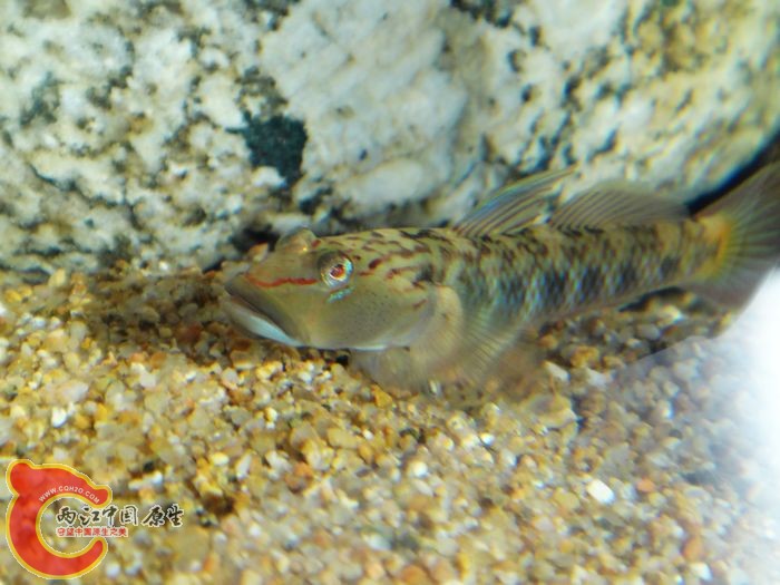 nEO_IMG_DSC02042.jpg