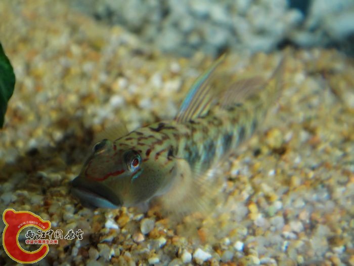 nEO_IMG_DSC02045.jpg