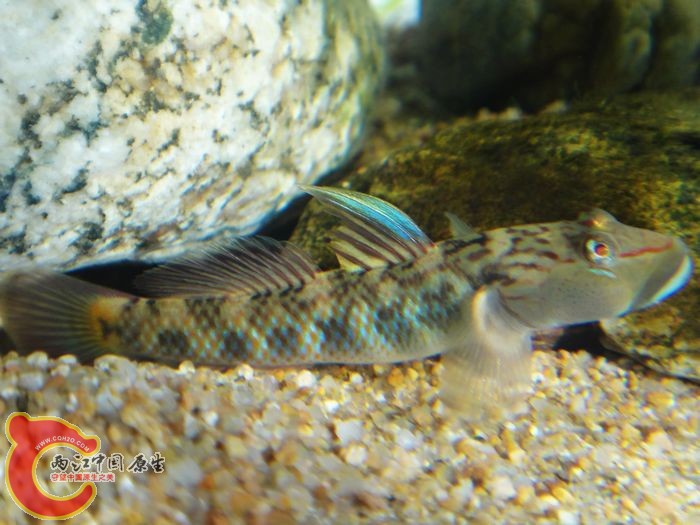 nEO_IMG_DSC02048.jpg