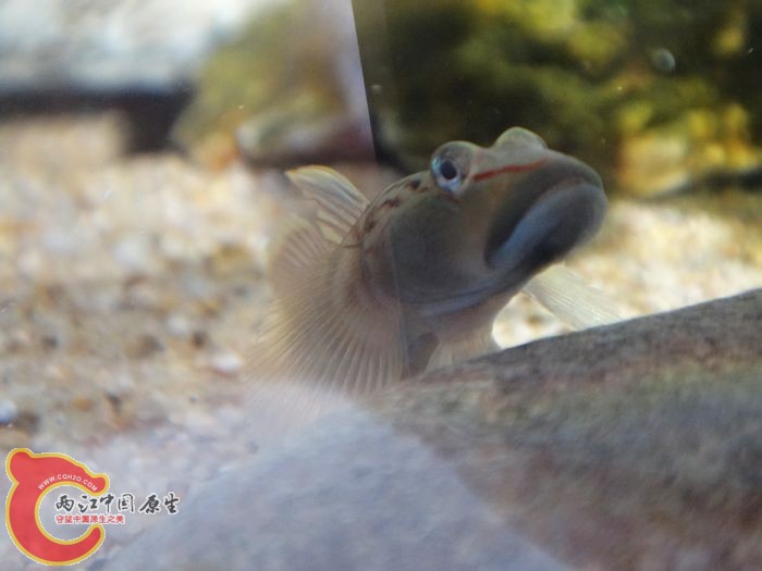 nEO_IMG_DSC02059.jpg