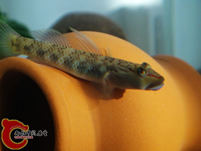 nEO_IMG_DSC02063.jpg