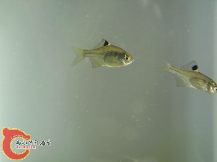 nEO_IMG_DSC02069.jpg