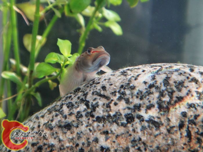 nEO_IMG_DSC02076.jpg