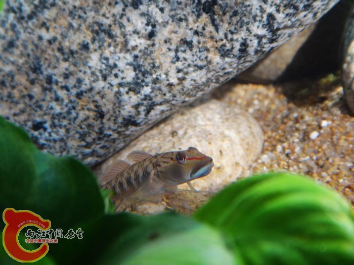 nEO_IMG_DSC02083.jpg