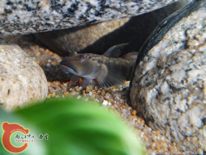 nEO_IMG_DSC02086.jpg