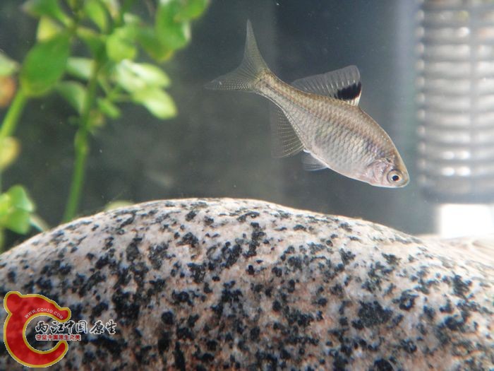 nEO_IMG_DSC02093.jpg