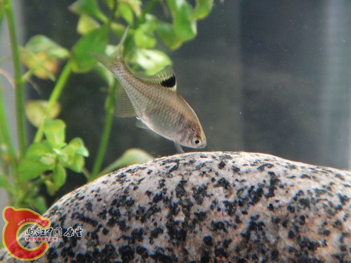 nEO_IMG_DSC02092.jpg
