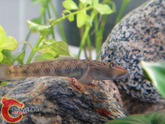 nEO_IMG_DSC02096.jpg