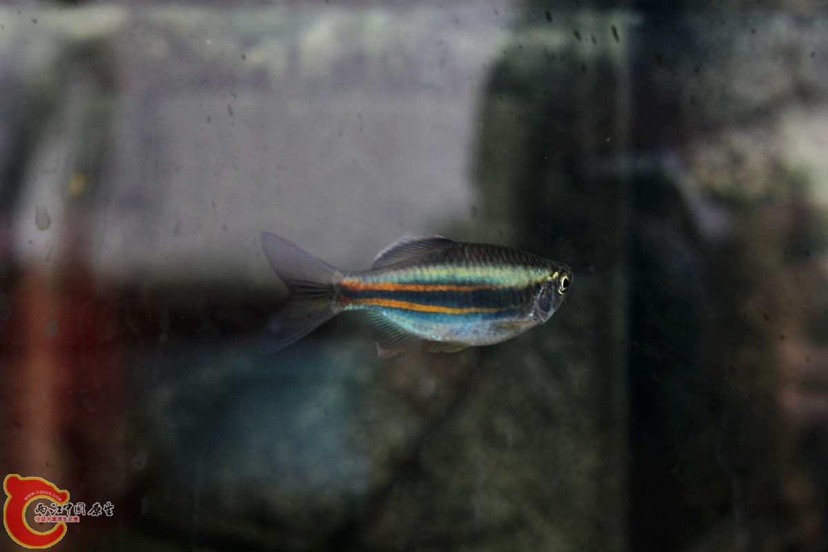 IMG_9343_副本.jpg