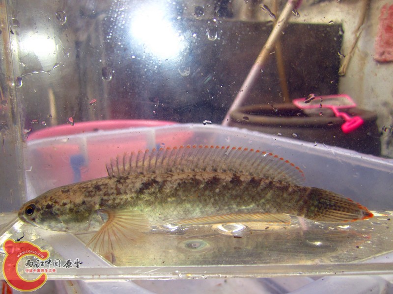 IMG_5866_副本.jpg