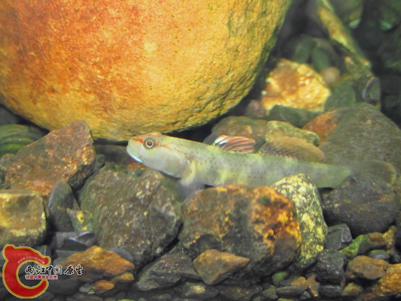 IMG_5905_副本.jpg