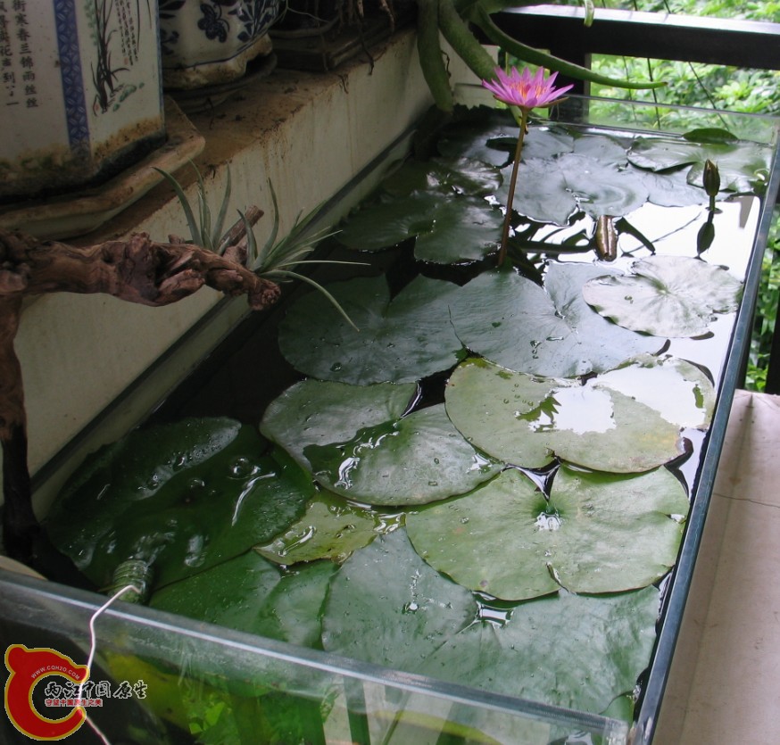 16    C~OBA7(7Y1ZHRKUSW5]VT}R.jpg