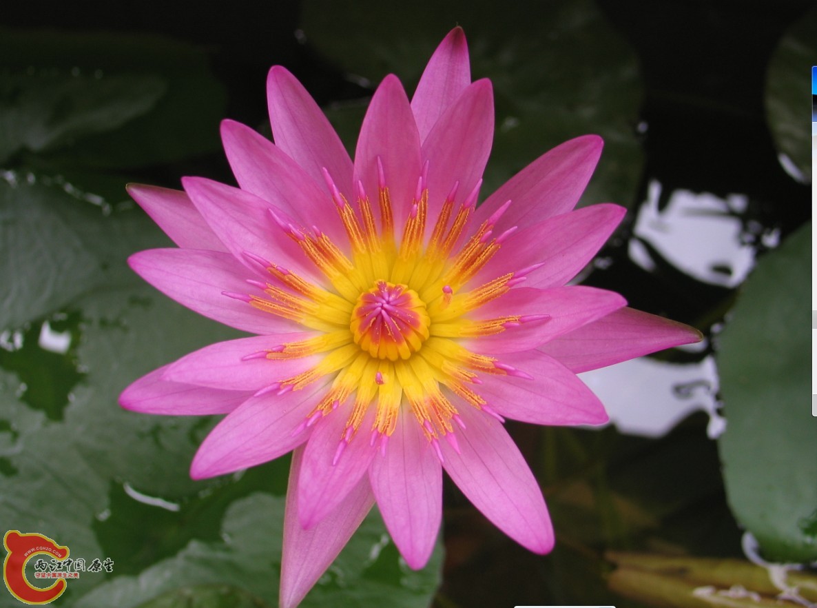 17    V58SQX[4HLISF4O$FQ{93P1.jpg