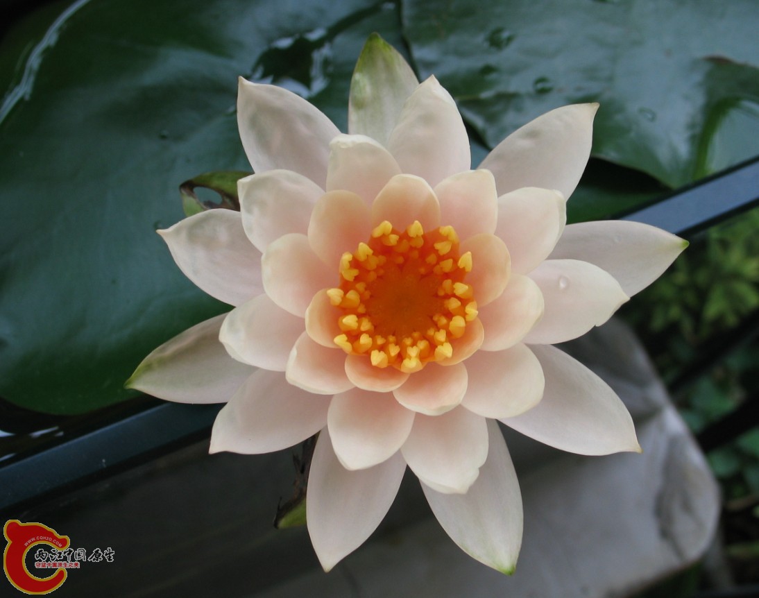 18    D]D2JN``1V}[UYCQ2UT4DOR.jpg