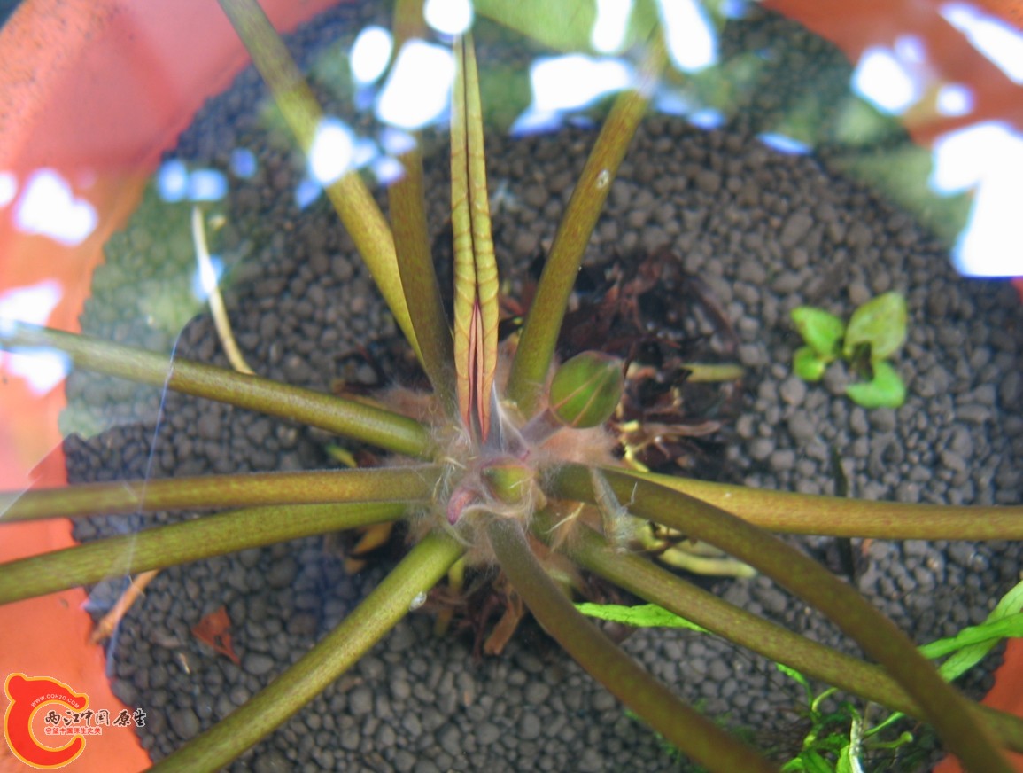 2   5$%YB]6Q)@8T`1$JRTRDY.jpg