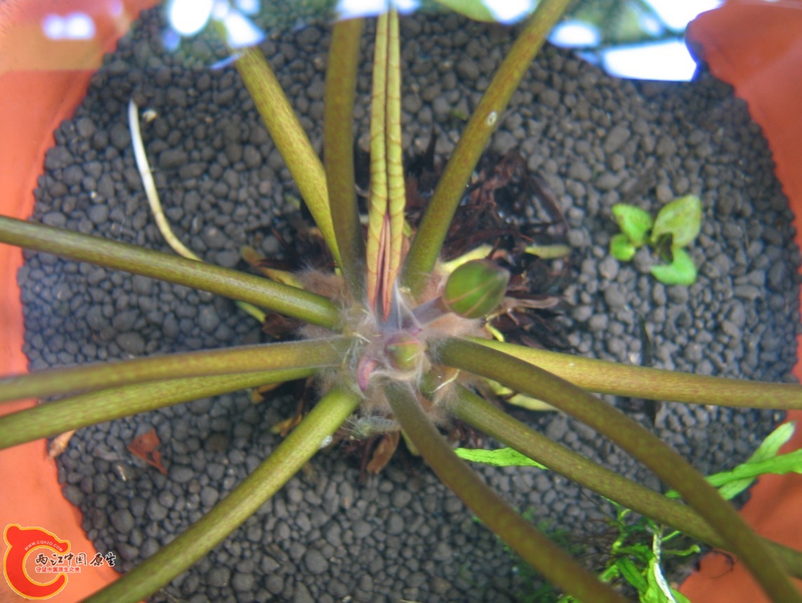 3   NS6YPJ(AL}CXZ~%IFTTMNIP.jpg