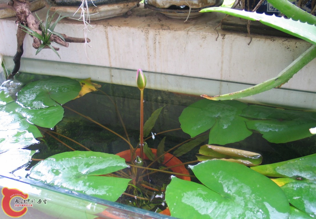 5   4A(}W(E4LR`N9ZX@}M12L8D.jpg