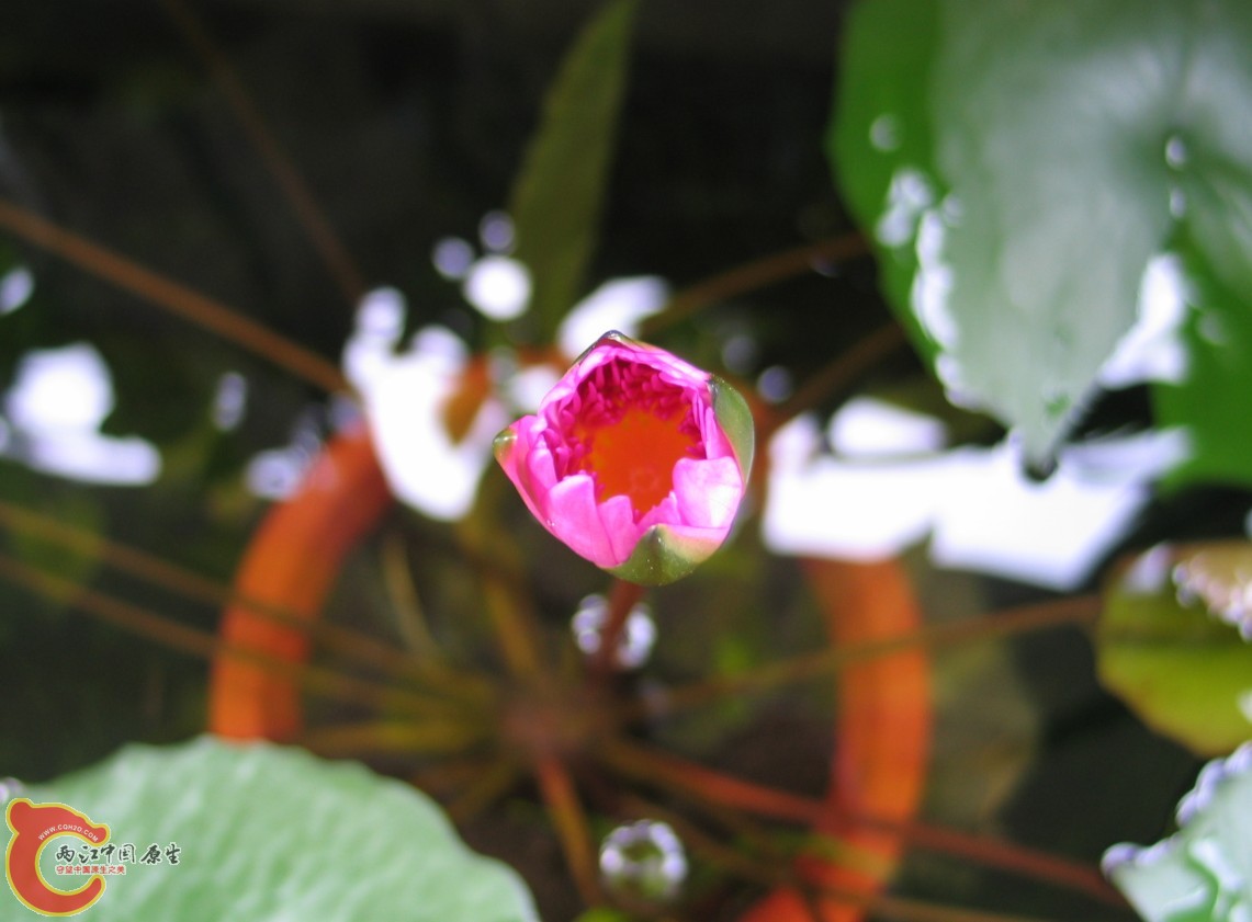 7  W7L%W[THN%_1U)IYND7E(JG.jpg