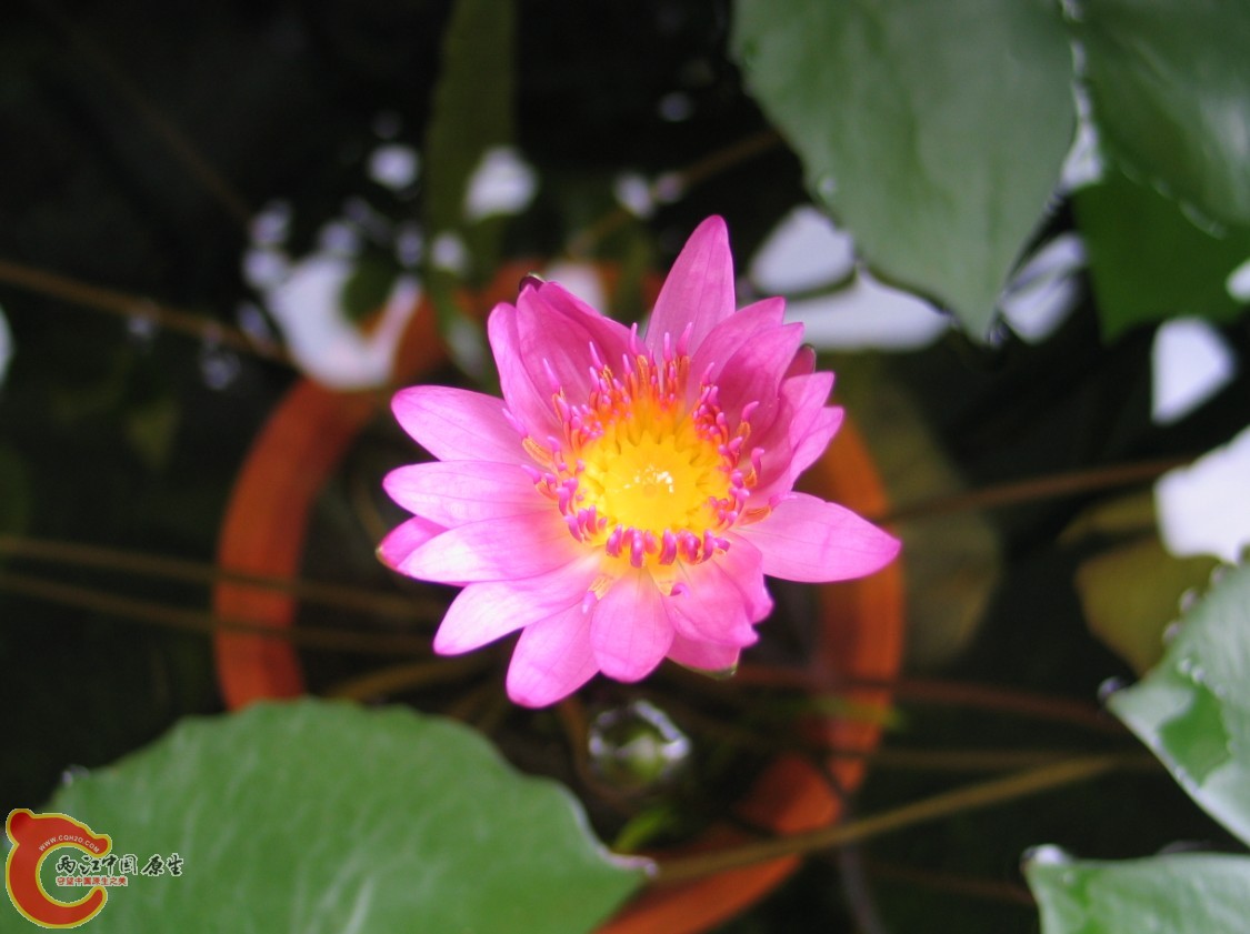 8   KYHMOSJGQ486[@C5@CYYDZD.jpg