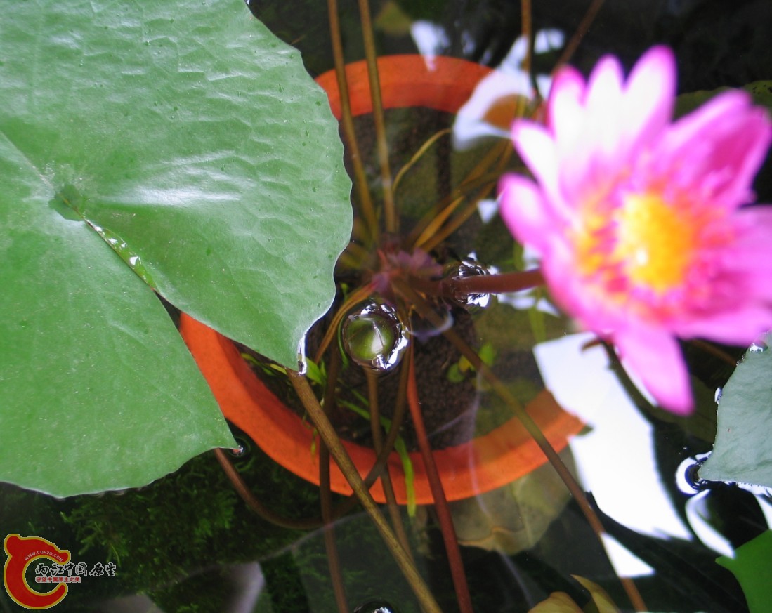 9   4N)G63E5AA93CP7CH)3UC1S.jpg