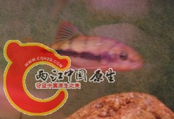 QQ截图20121025223324.jpg