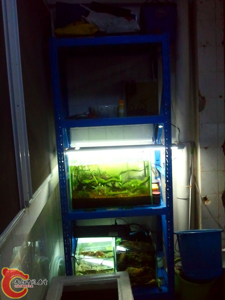 2012-10-25 21.33.00_副本.jpg