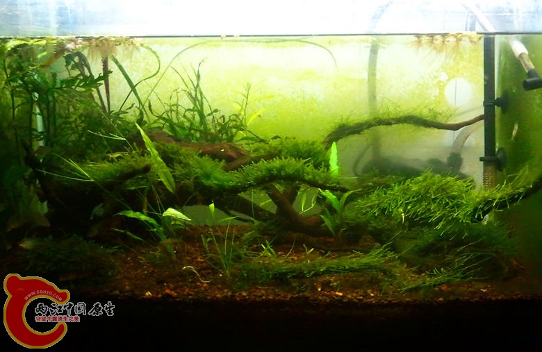 2012-10-25 22.00.32_副本.jpg